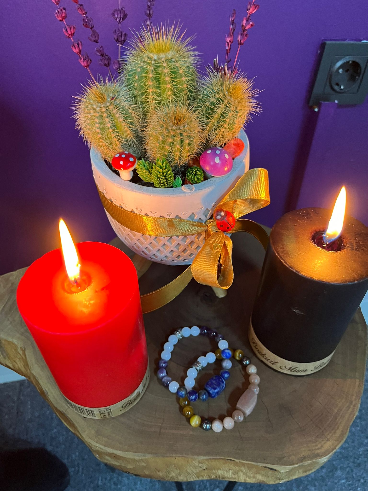Meridyen Regülasyon